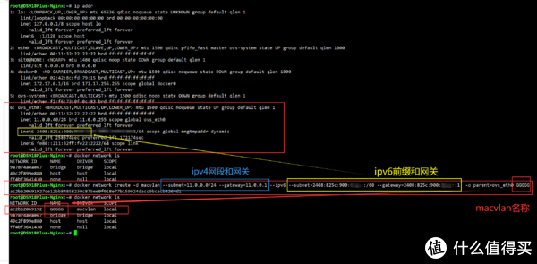 docker使用独立ip安装青龙面板