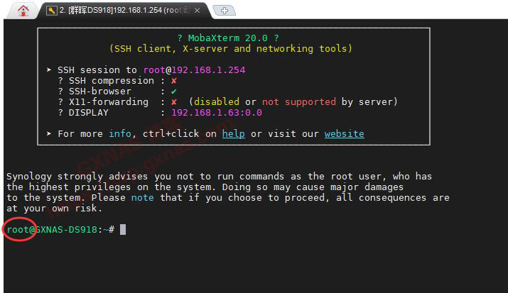 利用第三方解码器FFMPEG让群晖DSM7.X版本的Video Station支持DTS视频编码和EAC3音频编码